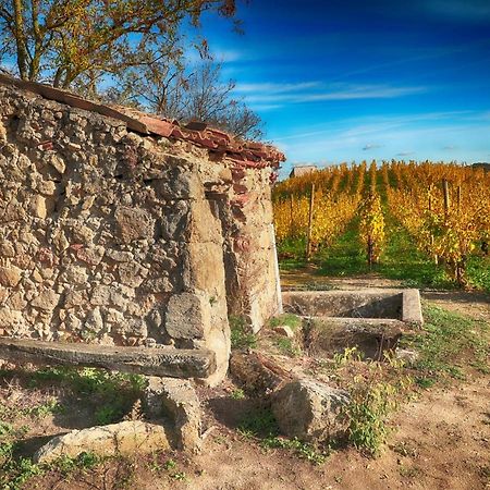 Condrieu Comme A La Maison Dış mekan fotoğraf