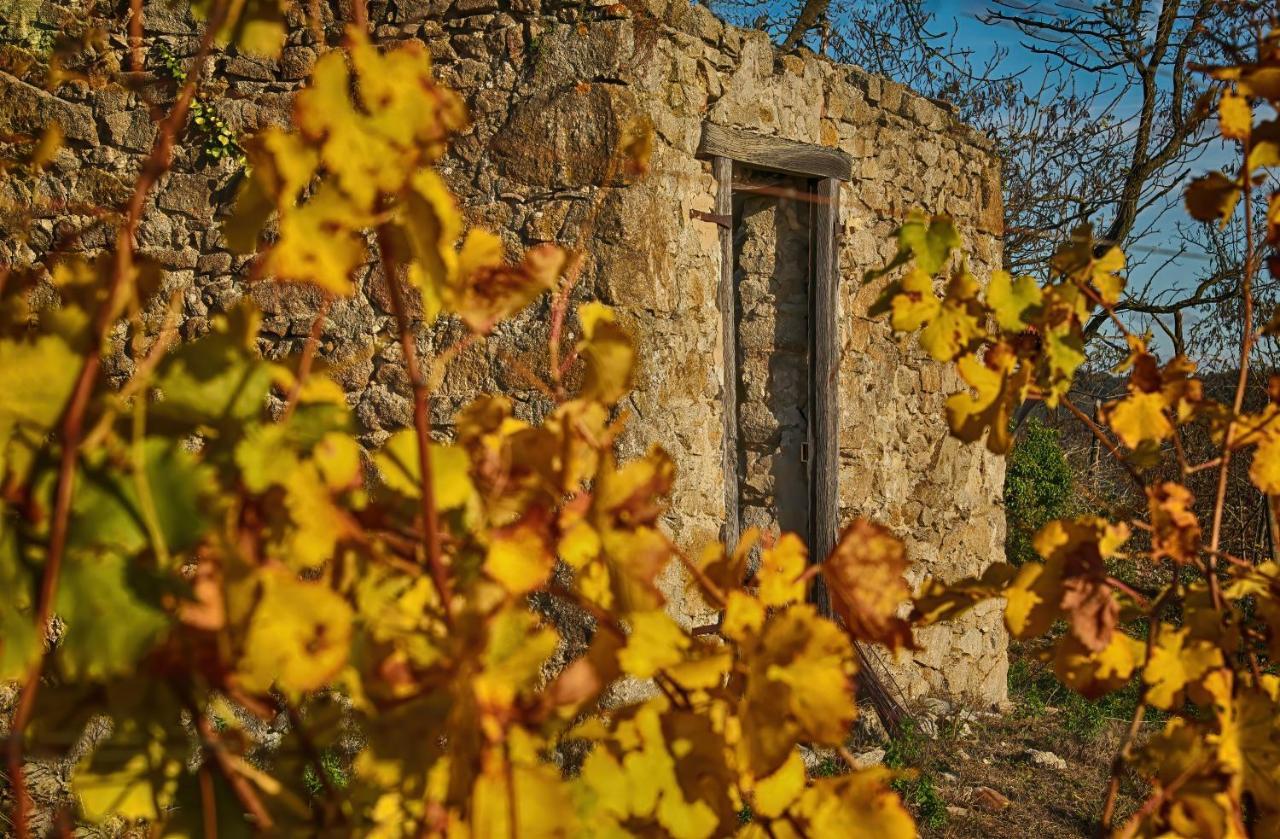 Condrieu Comme A La Maison Dış mekan fotoğraf