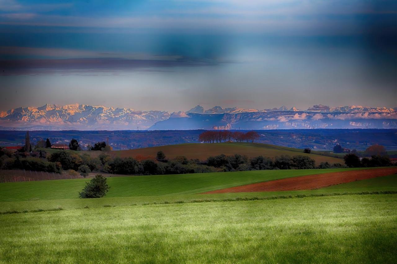 Condrieu Comme A La Maison Dış mekan fotoğraf
